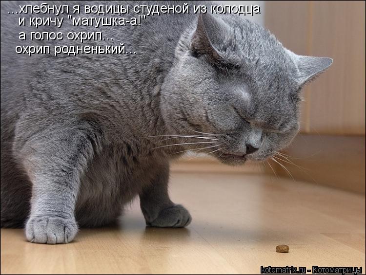 ...хлебнул я водицы студеной из колодца и кричу "матушка-а!" а голос охрип... охрип родненький...... Котоматрица: ...хлебнул я водицы студеной из колодца и кричу "матушка-а!" а голос охрип... охрип родненький...