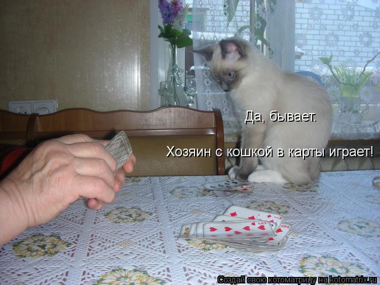 Котоматрица: Да, бывает.  Хозяин с кошкой в карты играет!