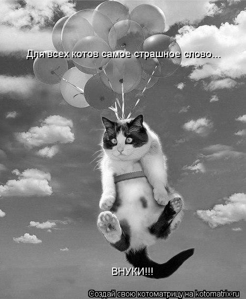 Для всех котов самое страшное слово... ВНУКИ!!!... Котоматрица: Для всех котов самое страшное слово... ВНУКИ!!!
