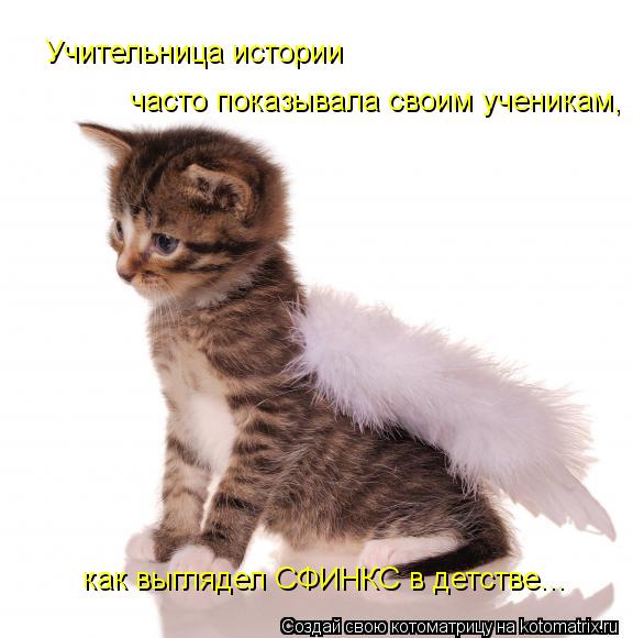 Котоматрица: Учительница истории часто показывала своим ученикам, как выглядел СФИНКС в детстве...