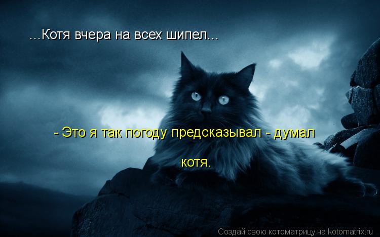 Котоматрица: ...Котя вчера на всех шипел...  - Это я так погоду предсказывал - думал котя.