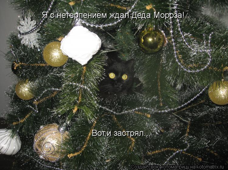 Котоматрица: Вот,и застрял... Я с нетерпением ждал Деда Мороза!