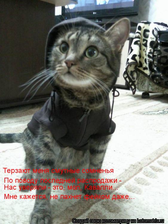 Котоматрица: Терзают меня смутные сомненья Нас уверяли - это, мол, Кавалли... По поводу последней распродажи - Мне кажется, не пахнет фейком даже...