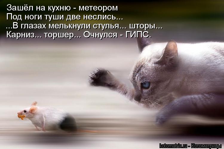 Зашёл на кухню - метеором Под ноги туши две неслись... ...В глазах мелькнули стулья... шторы... Карн... Котоматрица: Зашёл на кухню - метеором Под ноги туши две неслись... ...В глазах мелькнули стулья... шторы... Карниз... торшер... Очнулся - ГИПС.