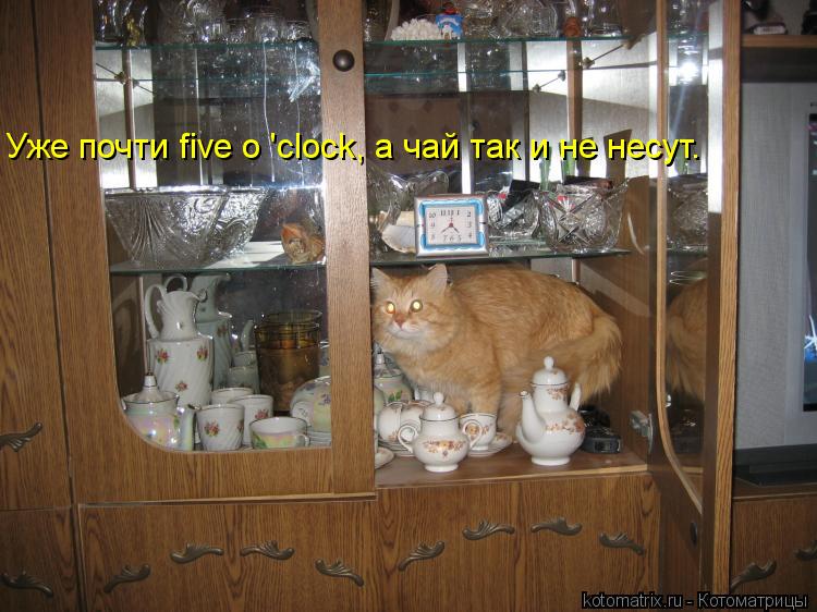 Котоматрица: Уже почти five o 'clock, а чай так и не несут.