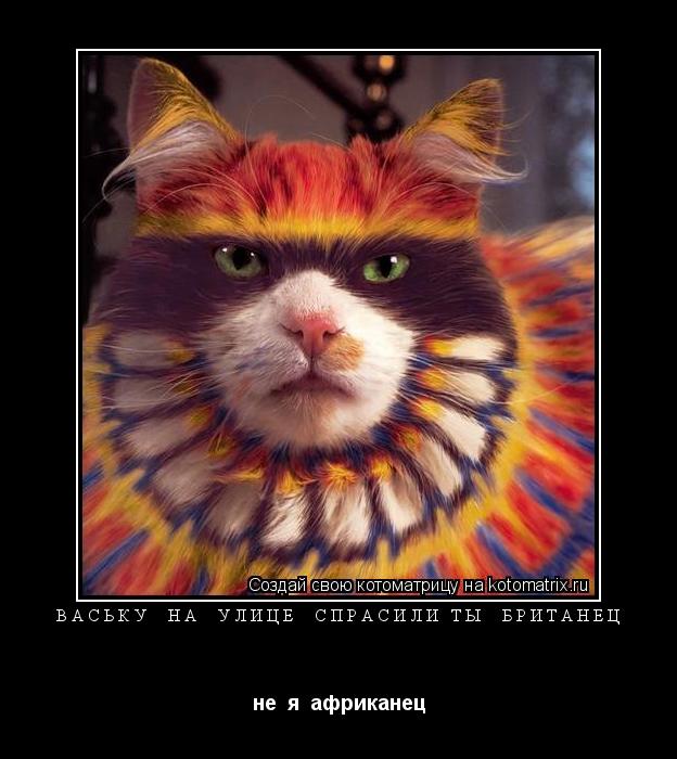 Котоматрица: ваську  на  улице  спрасили ты  британец не  я  африканец