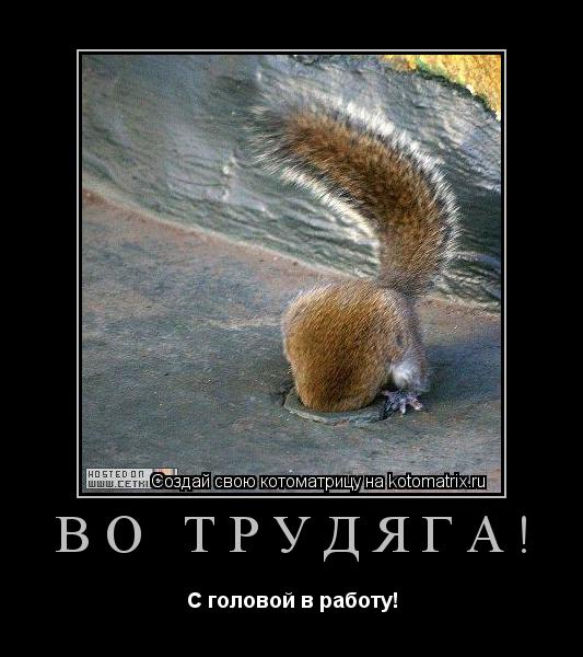 Во трудяга! С головой в работу!... Котоматрица: Во трудяга! С головой в работу!