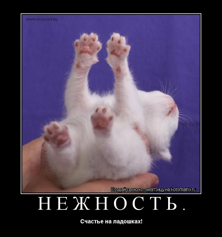 Котоматрица: Нежность. Счастье на ладошках!