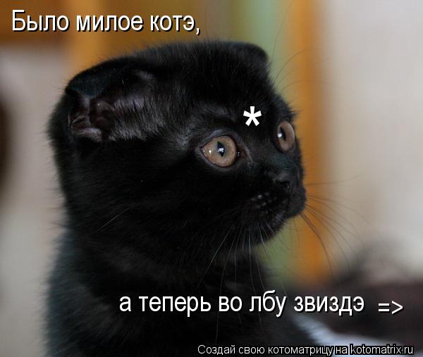 Котоматрица: * Было милое котэ, а теперь во лбу звиздэ =>