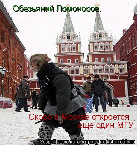 Котоматрица: Обезьяний Ломоносов.  Скоро в Москве откроется  еще один МГУ