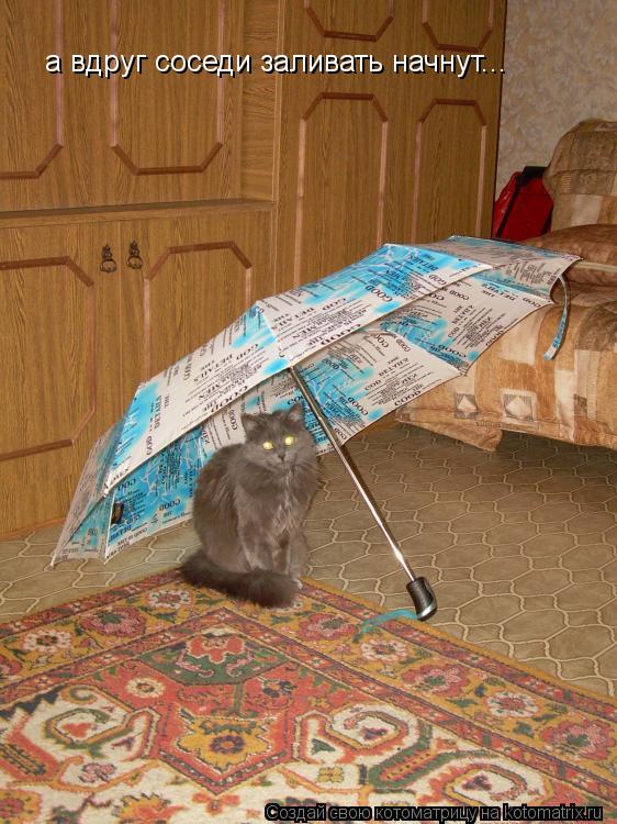 Котоматрица: а вдруг соседи заливать начнут...