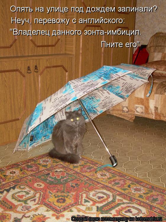 Котоматрица: Неуч, перевожу с английского:  "Владелец данного зонта-имбицил.  Опять на улице под дождем запинали? Пните его"