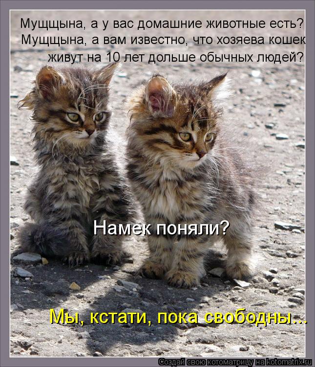 Котоматрица: Мущщына, а у вас домашние животные есть? Мущщына, а вам известно, что хозяева кошек живут на 10 лет дольше обычных людей? Намек поняли?  Мы, кст