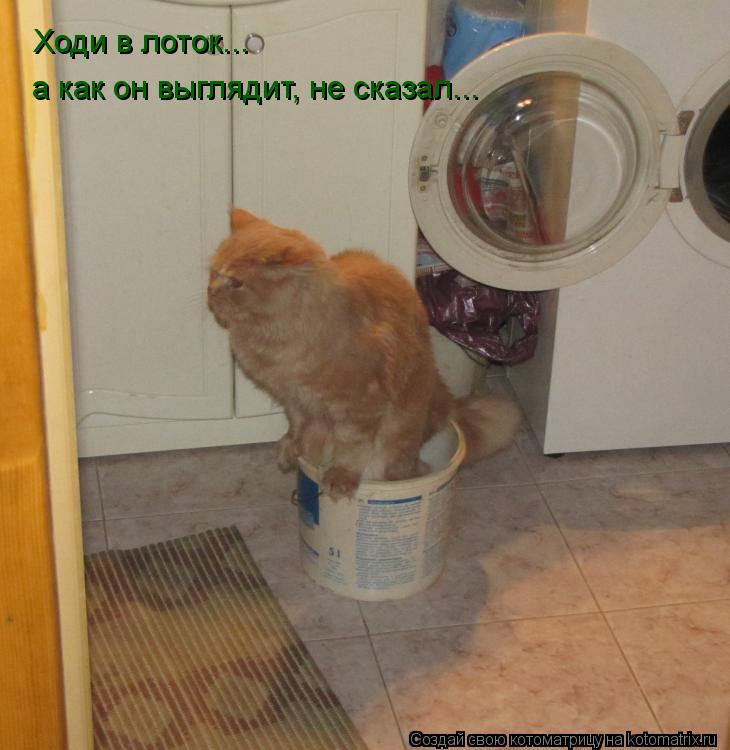 Котоматрица: Ходи в лоток... а как он выглядит, не сказал...