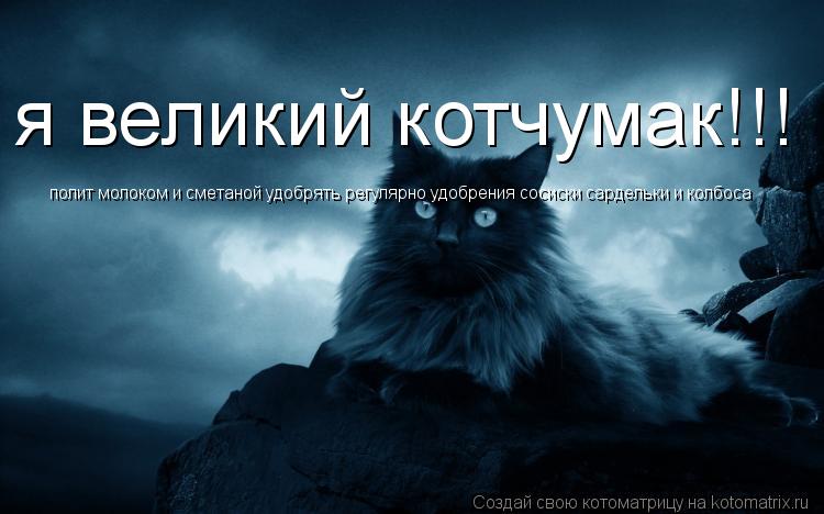 Котоматрица: я великий котчумак!!! полит молоком и сметаной удобрять регулярно удобрения сосиски сардельки и колбоса