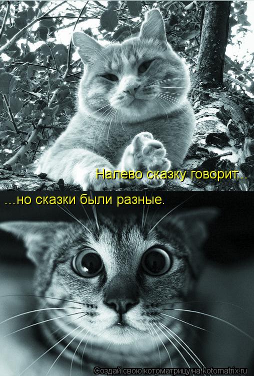 Котоматрица: Налево сказку говорит...  ...но сказки были разные.