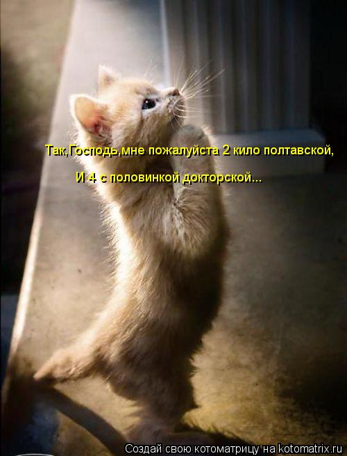 Котоматрица: Так,Господь,мне пожалуйста 2 кило полтавской, И 4 с половинкой докторской...