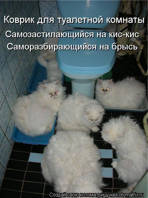 Котоматрица: Коврик для туалетной комнаты Самозастилающийся на кис-кис Саморазбирающийся на брысь
