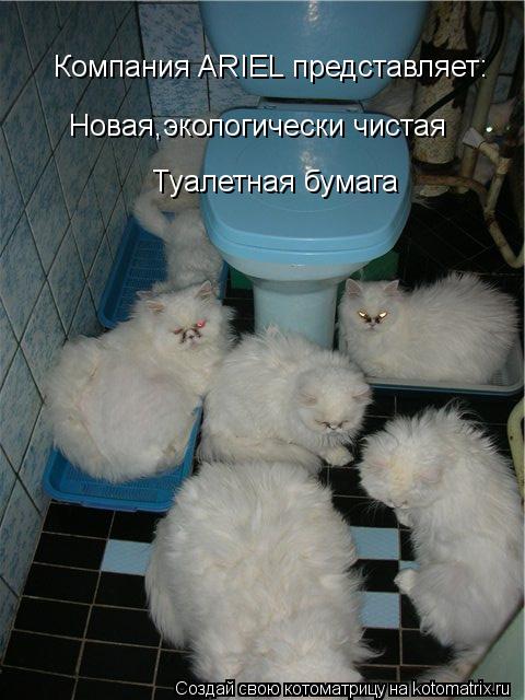 Котоматрица: Компания ARIEL представляет: Новая,экологически чистая Туалетная бумага
