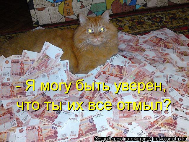 Котоматрица: что ты их все отмыл? - Я могу быть уверен,