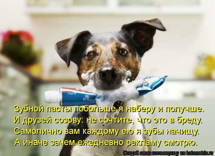 Котоматрица: Зубной пасты побольше я наберу и получше. И друзей созову: не сочтите, что это в бреду. Самолично вам каждому ею я зубы начищу. А иначе зачем е