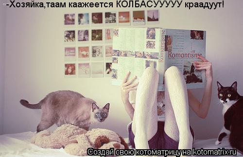 Котоматрица: -Хозяйка,таам каажеется КОЛБАСУУУУУ краадуут!