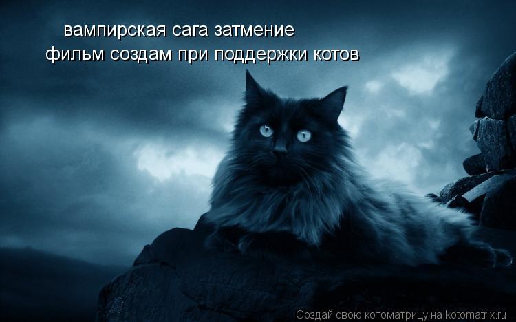 Котоматрица: вампирская сага затмение фильм создам при поддержки котов