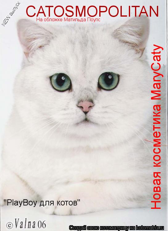 Котоматрица: "PlayBoy для котов" NEW выпуск CATOSMOPOLITAN Новая косметика MaryCaty На обложке Матильда Поупс
