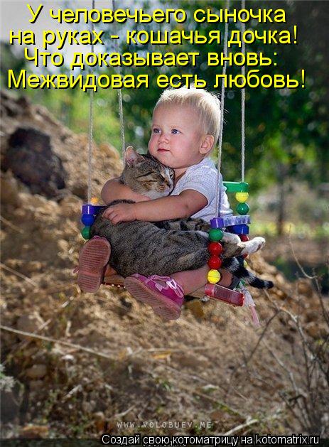 Котоматрица: У человечьего сыночка на руках - кошачья дочка! Что доказывает вновь: Межвидовая есть любовь!