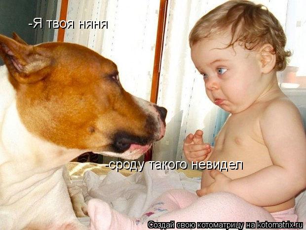 Котоматрица: -Я твоя няня -Я твоя няня -сроду такого невидел