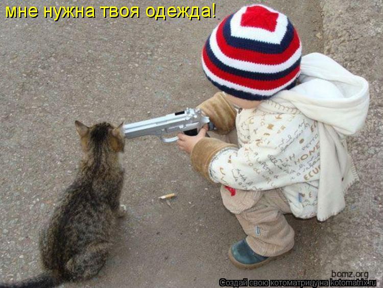 Котоматрица: мне нужна твоя одежда!