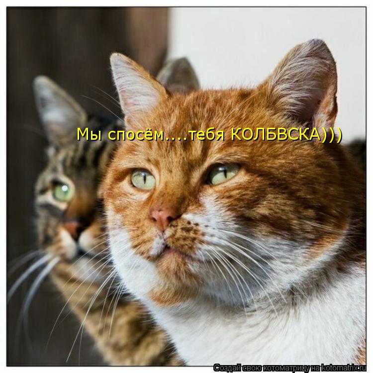 Котоматрица: Мы спосём....тебя КОЛБВСКА)))