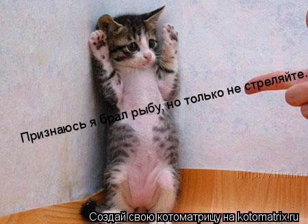 Котоматрица: Признаюсь я брал рыбу, но только не стреляйте.