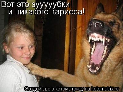 Котоматрица: Вот это зууууубки! и никакого кариеса!