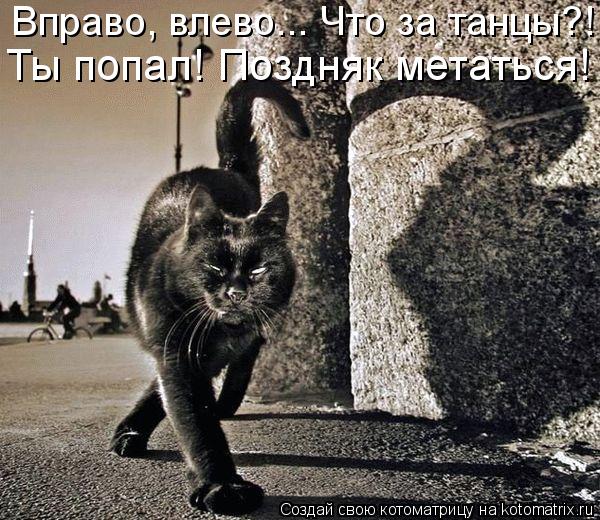 Вправо, влево... Что за танцы?! Ты попал! Поздняк метаться!... Котоматрица: Вправо, влево... Что за танцы?! Ты попал! Поздняк метаться!