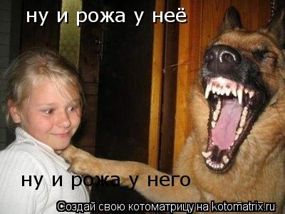 Котоматрица: ну и рожа у неё ну и рожа у него