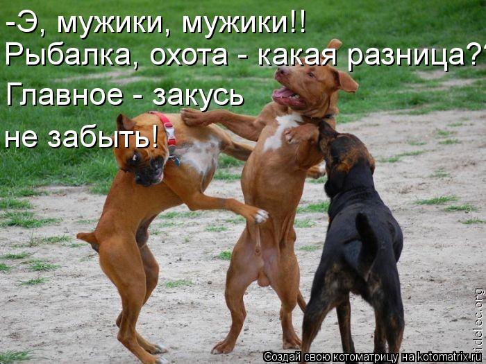 Котоматрица: -Э, мужики, мужики!! Рыбалка, охота - какая разница?? Главное - закусь не забыть!