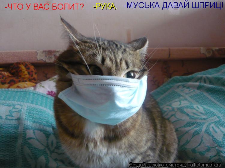 Котоматрица: -ЧТО У ВАС БОЛИТ? -РУКА. -МУСЬКА ДАВАЙ ШПРИЦ!