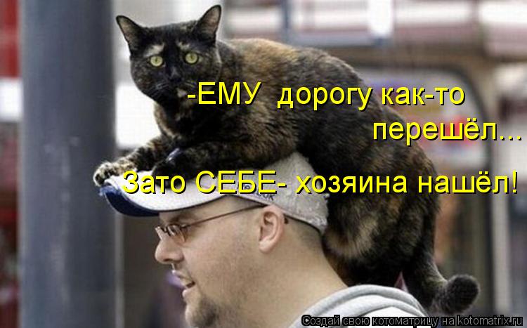 Котоматрица: перешёл... Зато СЕБЕ- хозяина нашёл! -ЕМУ  дорогу как-то