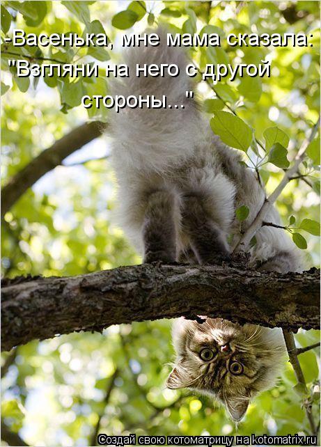 Котоматрица: -Васенька, мне мама сказала:  "Взгляни на него с другой  стороны..."
