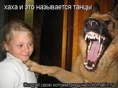 Котоматрица: хаха и это называется танцы