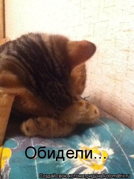 Котоматрица: Обидели...