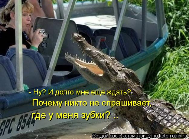 Котоматрица: - Ну? И долго мне еще ждать?..  Почему никто не спрашивает,  где у меня зубки? ..
