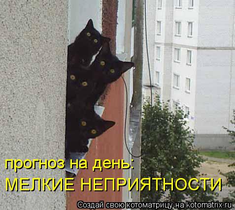 Котоматрица: прогноз на день: МЕЛКИЕ НЕПРИЯТНОСТИ