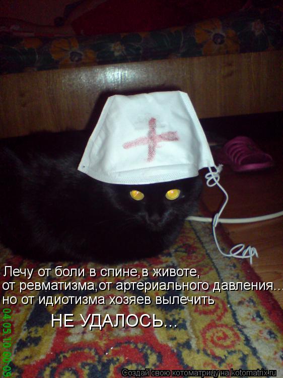 Котоматрица: Лечу от боли в спине,в животе, от ревматизма,от артериального давления... но от идиотизма хозяев вылечить НЕ УДАЛОСЬ...