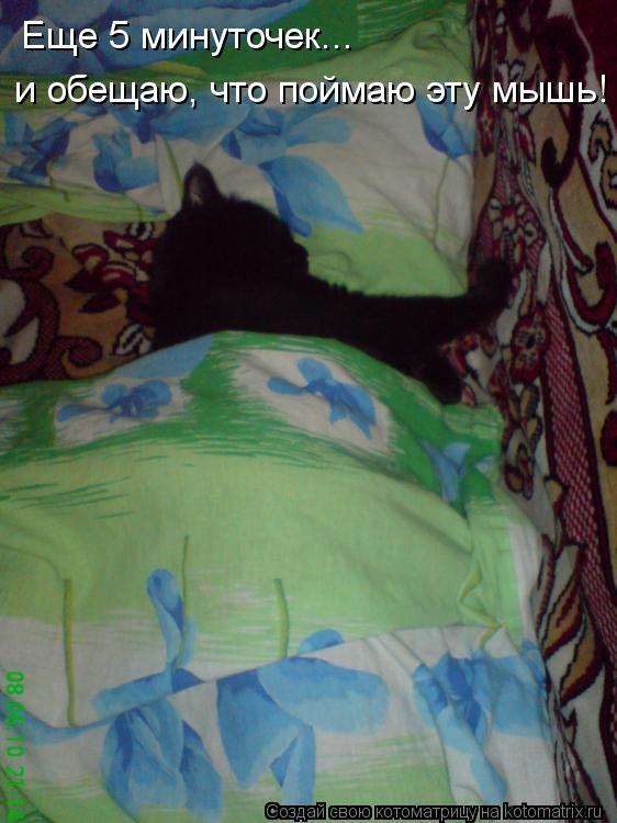 Котоматрица: Еще 5 минуточек... и обещаю, что поймаю эту мышь!