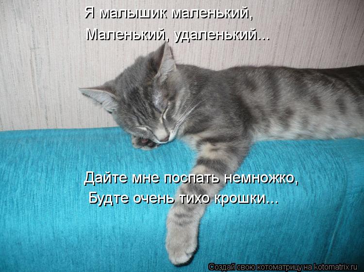 Котоматрица: Я малышик маленький, Маленький, удаленький... Дайте мне поспать немножко, Будте очень тихо крошки...