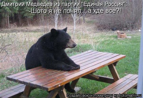 Котоматрица: -Шото я не понял... а хде все?! Дмитрий Медведев из партии "Единая Россия":