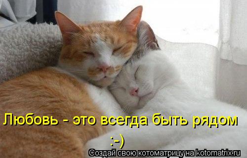Котоматрица: Любовь - это всегда быть рядом :-)