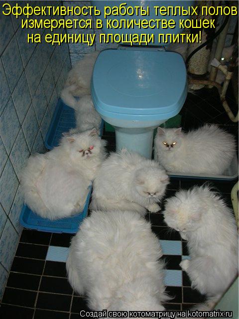 Котоматрица: Эффективность работы теплых полов измеряется в количестве кошек на единицу площади плитки!